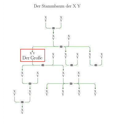 Stammbaum mit gewünschter Box