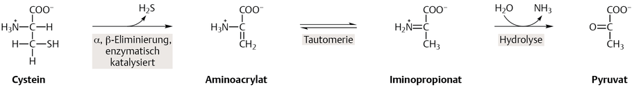 bioch_007200_eliminierende_desaminierung.png