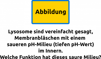 Beispiel-Text-fit-Seite.png (123.9 KiB) 9988 mal betrachtet Beispiel-Text-fit-Seite.png